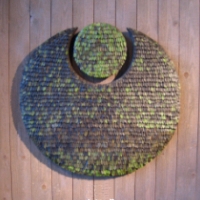 Punapuola